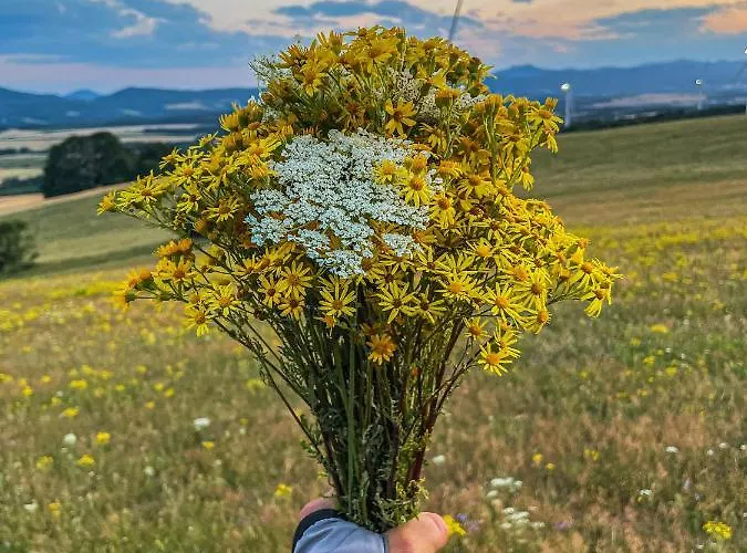 Bílý Kostel Bily Kostel nad Nisou